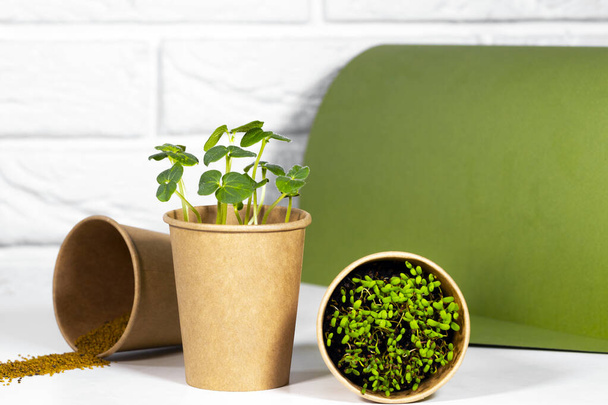Бумажный эко-кубок с зеленым микро. Молодая зеленая капуста растет. Концепция здорового питания. Светлый кирпичный фон. Copyspace, Eco Friendly - Фото, изображение