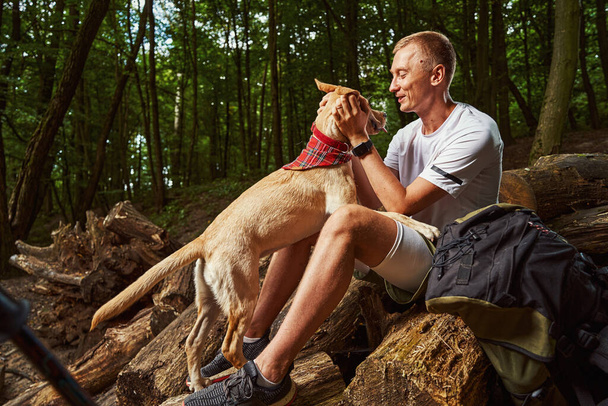 Uśmiechnięty człowiek spędzający czas z psem w lesie - Zdjęcie, obraz