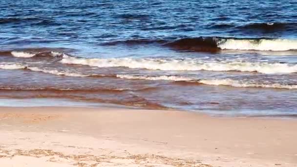 Surfen auf dem See in luftigen Sommertagen, in der Nähe - Filmmaterial, Video
