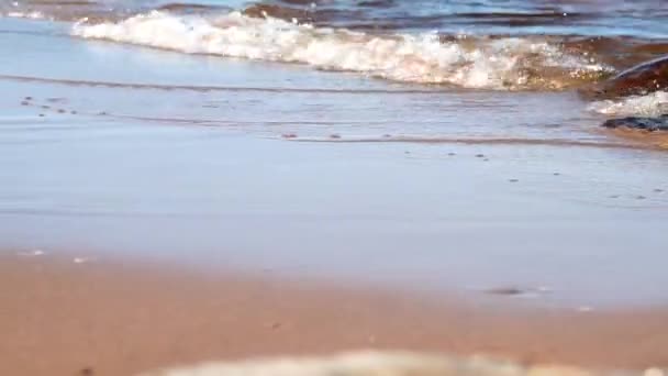 Vista deslizante de ondas rolar na praia selvagem do lago no dia de verão, perto - Filmagem, Vídeo