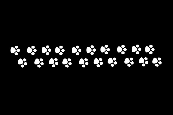 белые лапы котенка на черном фоне. - Фото, изображение