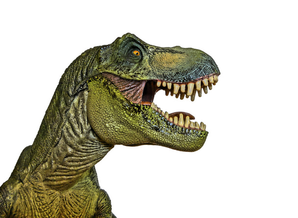 een tyrannosaurus jaagt op een witte achtergrond  - Foto, afbeelding