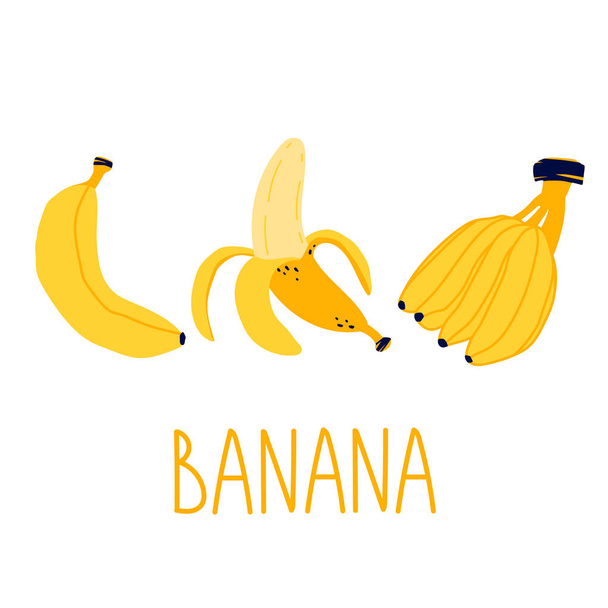 Set of bananas. Bright vector set of bunches of fresh banana. Peel banana, yellow fruit and bunch of bananas. Fresh juicy tropical fruits. Cartoon style. Isolated on white background. - Vektori, kuva