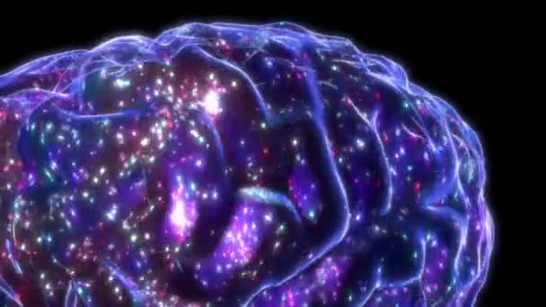 Latanie wokół ludzkiego hologramu mózgu - koncepcja procesu myślenia - animacja 3D 4k (3840x2160 px). - Materiał filmowy, wideo