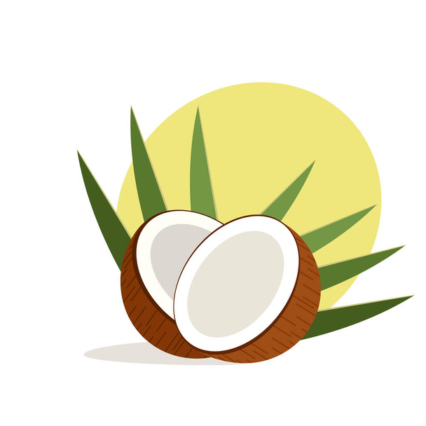 A coconut split in to halves along with its leafs - Vector, Image