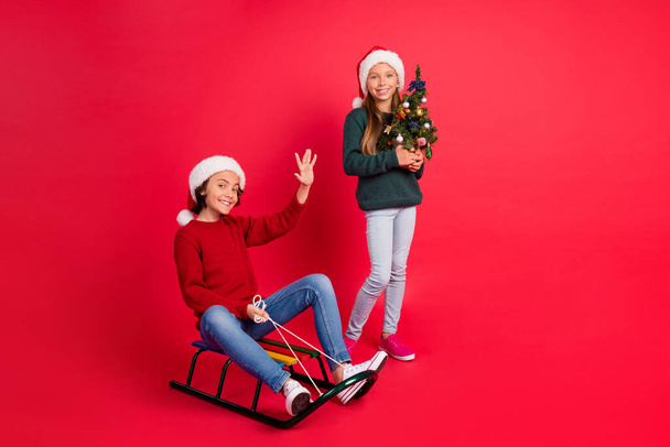 Photo of dreamy pretty schoolchildren wear knitted pullovers holding tree sledding smiling isolated red color background - Fotografie, Obrázek