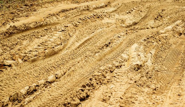 泥の中の車の痕跡 - 写真・画像