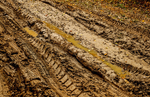 泥の中の車の痕跡 - 写真・画像