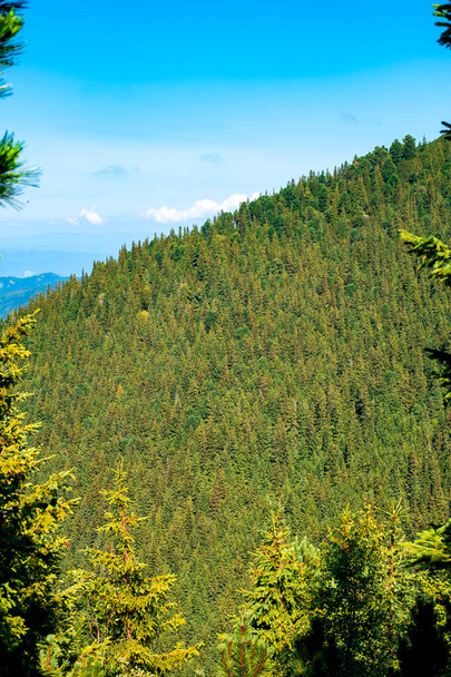 Погляд на національний парк Ретесат (Румунія). - Фото, зображення
