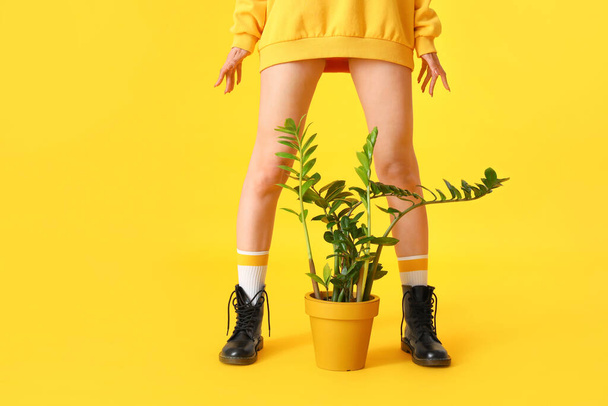 Стильная молодая женщина с домашним растением на цветном фоне - Фото, изображение