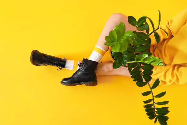 Stylish young woman with houseplant on color background - Foto, immagini