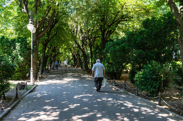 Vue sur le jardin Cismigiu, parc public avec des sentiers bordés d'arbres. Parc Cismigiu à Bucarest, Roumanie, 2021 - Photo, image