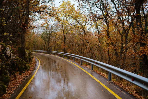 τοπίο φθινοπωρινή εποχή στις βροχερές ημέρες Road Travel και κίτρινα φύλλα - Φωτογραφία, εικόνα