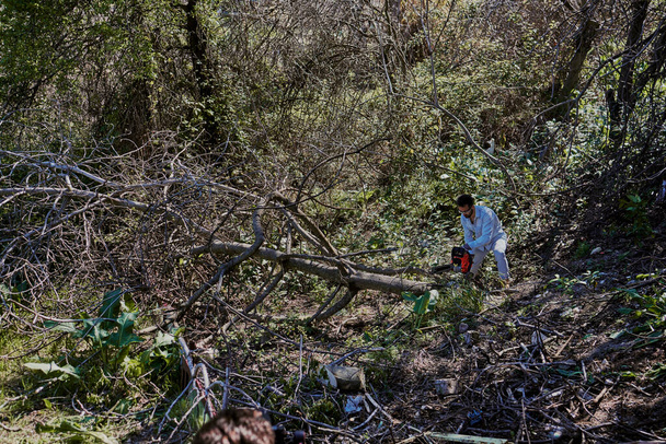 Un homme coupe un arbre tombé dans la forêt. - Photo, image