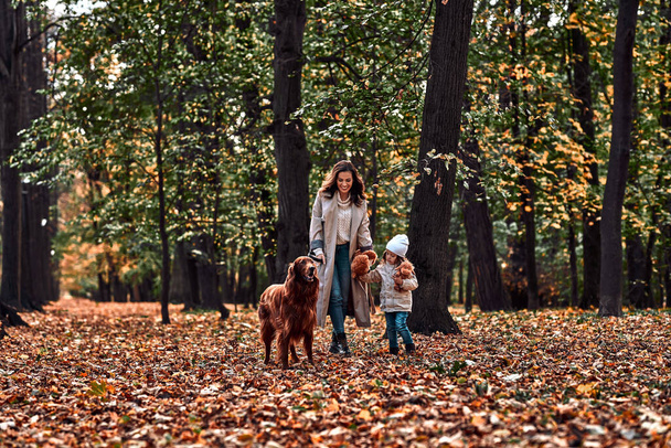 Autumn walk in the park. Beautiful adult woman with a little girl walking with a pet. Mom and daughter on a walk with a dog. - Φωτογραφία, εικόνα