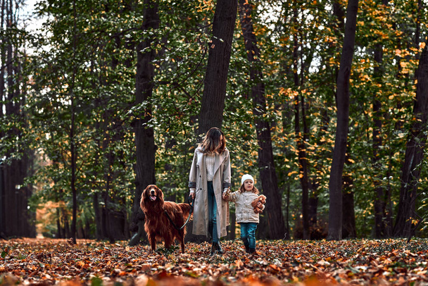 Mom with daughter and dog walk in the autumn park. Dog on a leash, daughter holding a toy. A walk in the park. - Foto, Imagen