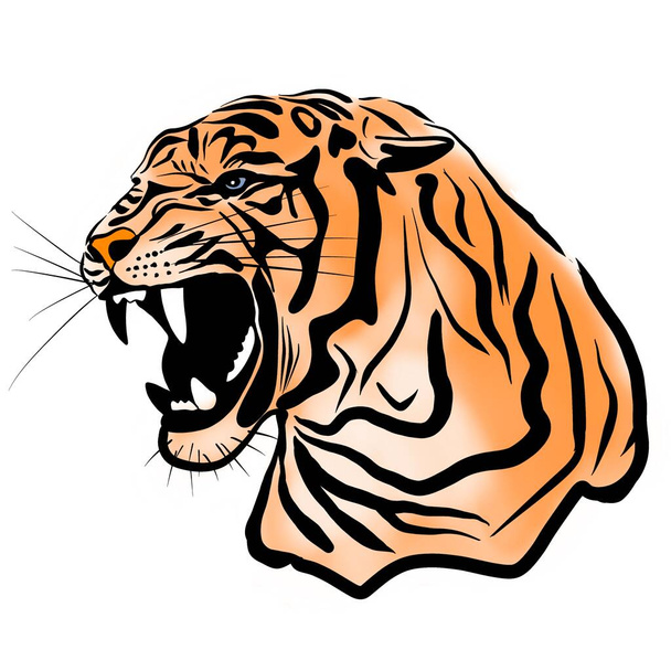 Un'illustrazione di una tigre o di un gatto selvatico con enormi artigli e zanne. Un predatore assetato di sangue prima di dare la caccia a una vittima. Un'idea per un tatuaggio. un parente di un leone, cougar, leopardo o ghepardo - Foto, immagini