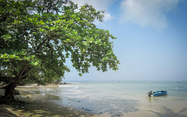 panoramic view of an african beach with trees and palm trees - Fotografie, Obrázek