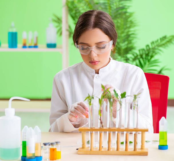 Όμορφη γυναίκα επιστήμονας βιοτεχνολογίας χημικός εργάζεται στο εργαστήριο - Φωτογραφία, εικόνα