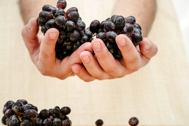 Trossen van natuurlijke biologische boer zwarte druiven op zwarte plaat achtergrond bovenaanzicht close-up kopje. - Foto, afbeelding