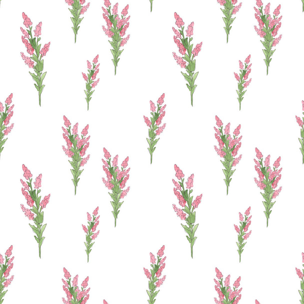 endless pattern of pink wild flowers on white - Foto, imagen