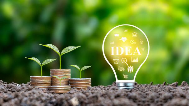 Árvores crescem a partir de moedas e lâmpadas de poupança de energia rotuladas IDEA, crescimento de ideias financeiras, e como encontrar ideias de negócios que funcionam para você. - Foto, Imagem
