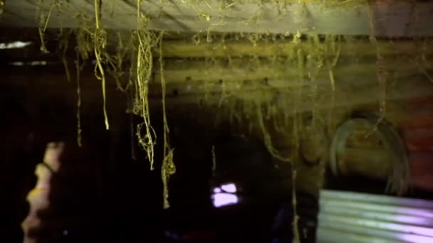 Antiguo sótano abandonado con telarañas colgando del techo, sótano abandonado y telarañas colgando del techo - Metraje, vídeo