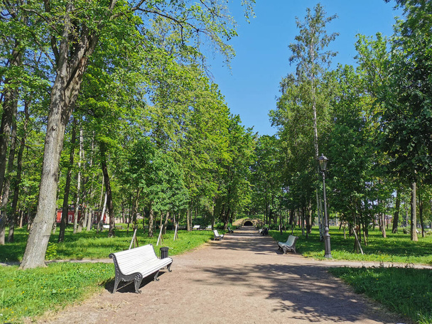 El camino con bancos blancos a la gruta en el Jardín de Verano de la ciudad de Kronstadt sobre el fondo de un cielo azul sin nubes. - Foto, imagen