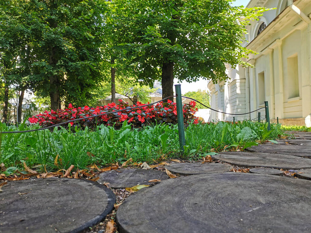Un sentier dans le parc entre les pavillons, bordé d'arbres ronds coupés par une journée ensoleillée d'été. - Photo, image