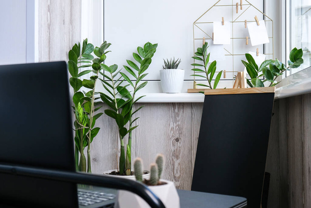 Stílusos szabadúszó iroda. Erkély munkahely. Chalkboard zöld növények és laptop. Házi irodai munka. Online tanítás. - Fotó, kép