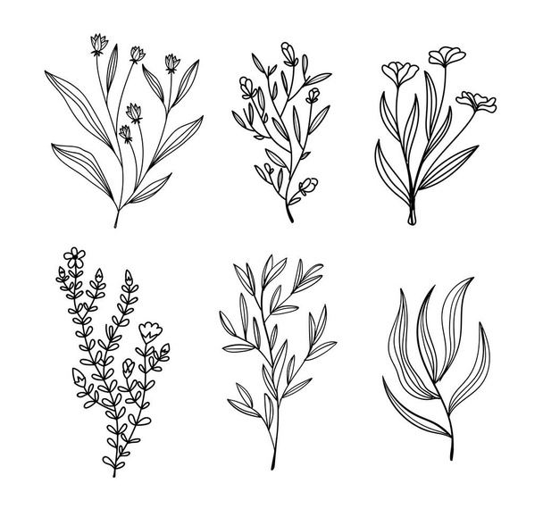 Hand drawn sketch of simple flowers vector illustration - Διάνυσμα, εικόνα