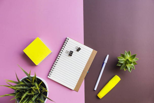 A top view shot of a notebook, sticky paper, pen, and two plants on a pink and brown background - Photo, image