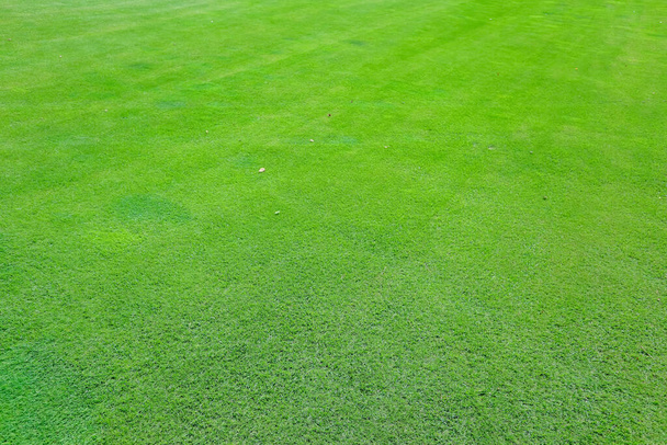 Green grass on the golf course in the evening - Foto, Bild
