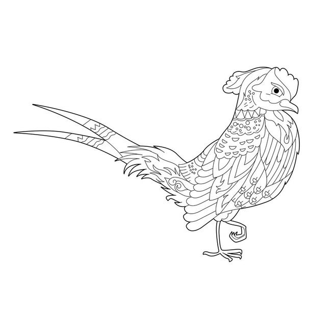 Fancy bird pheasant. Black and white picture. Contour linear illustration for coloring book with paradise birds. Line art design for adult or kids  in zentangle style and coloring page. - Вектор,изображение