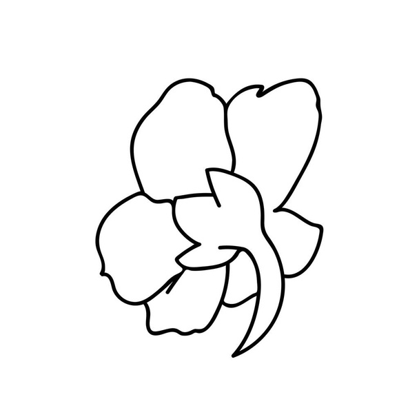 One Vector Botanical Illustration Nasturtium with black line on white background.Floral,Summer hand drawn doodle style picture.Designs for packaging,social media,web,cards, posters,invitations. - Vetor, Imagem