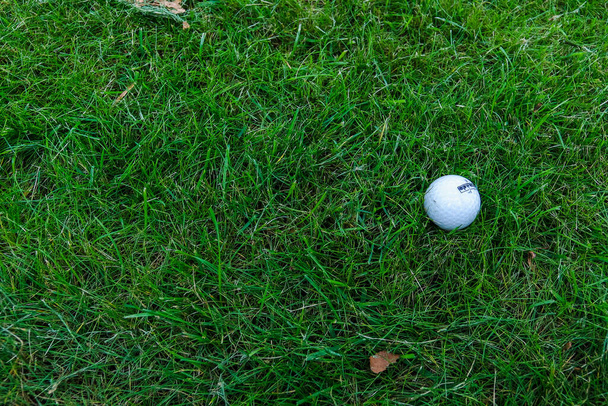Golf ball on green grass of golf course. - Fotoğraf, Görsel