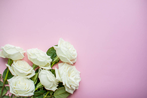 Layout of delicate white roses on a pink background - Foto, Imagen