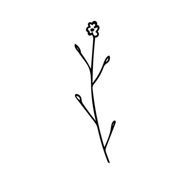 Yksi vektori Kasvitieteellinen kuvitus Branch Plant musta viiva valkoisella pohjalla. Kukka, Summer käsin piirretty doodle style picture.Designs pakkaamiseen, sosiaalinen media, web, kortit, julisteet, kutsut. - Vektori, kuva