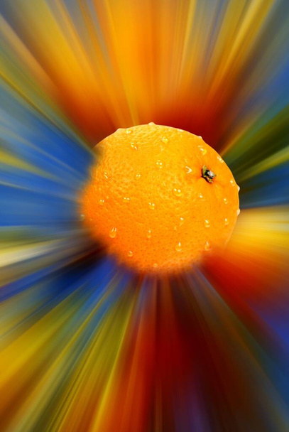 morceaux de rayons orange - Photo, image