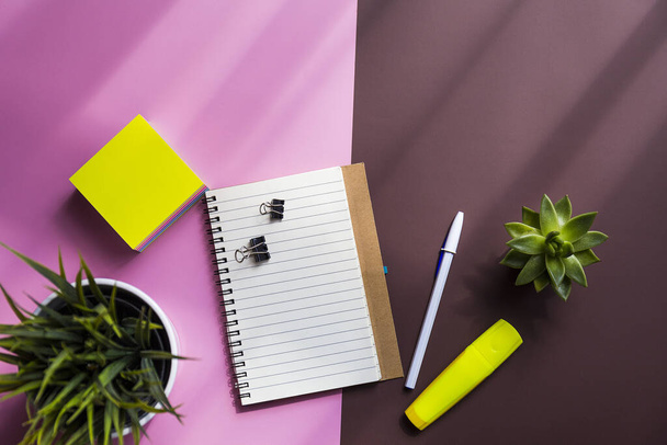 Bir defterin, yapışkan kağıdın, kalemin ve pembe ve kahverengi arka planda iki bitkinin üst görüntüsü. - Fotoğraf, Görsel