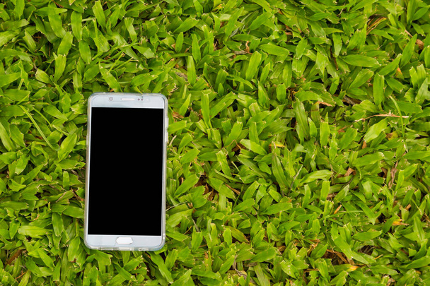Smart phone on green grass background - Foto, immagini