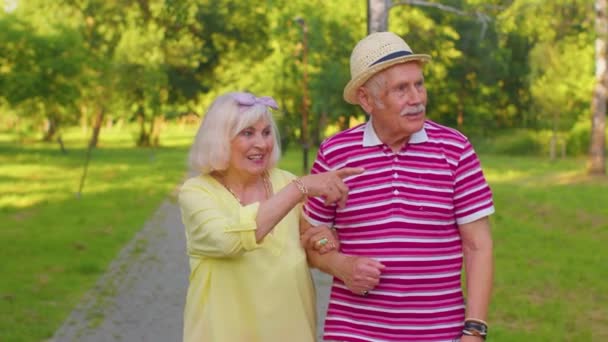 Senioren stijlvolle gepensioneerden paar grootvader wandelen, genieten van tijd samen in park - Video