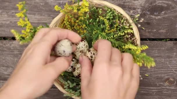 hembra mano pone huevos de codorniz en una cesta de paja en una mesa de madera, huevos de codorniz en una mesa - Imágenes, Vídeo