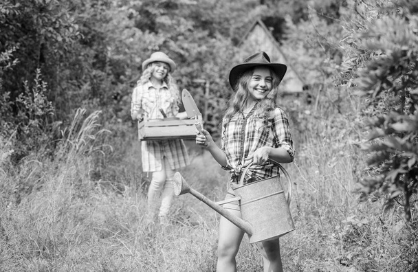 Girls with gardening tools. Child friendly garden tools ensure safety of child gardener. Cute gardener concept. Loving nature. Gardener occupation. Taking care of plants. Sisters helping at backyard - Foto, imagen