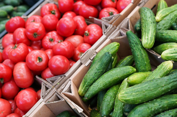 Food market vegetables. Various fresh ripe cucumbers, tomatoes agriculture products on marketplace sale. - Photo, Image