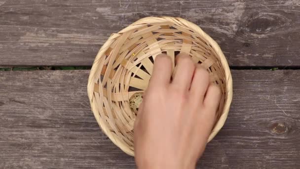hembra mano pone huevos de codorniz en una cesta de paja en una mesa de madera, huevos de codorniz en una mesa - Metraje, vídeo