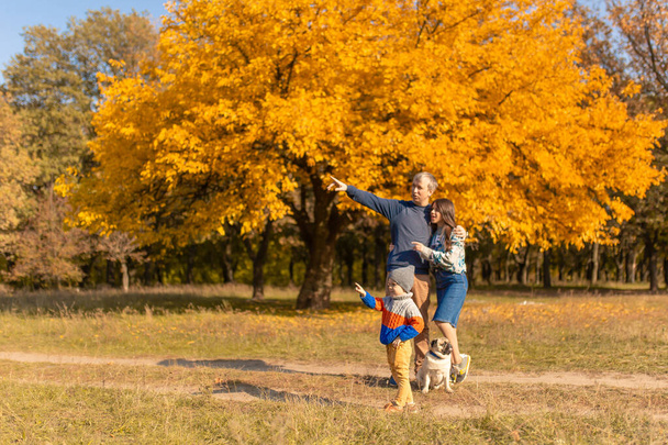 Mladá rodina s malým dítětem a psem spolu tráví čas na procházce v podzimním parku. - Fotografie, Obrázek