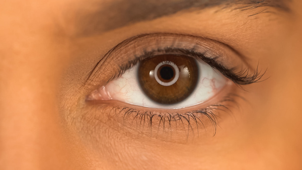 частичный вид женщины с карими глазами, смотрящей в камеру - Фото, изображение