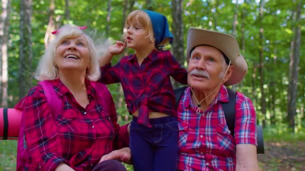 Старшие бабушка и дедушка пара туристов отдыхают в лесу с внучкой в летнем лесу - Кадры, видео