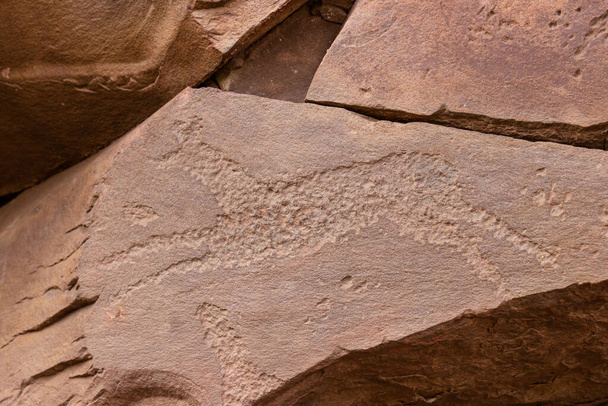 Starożytne petroglify na skale w łańcuchu górskim Sunduki w republice Chakasji, Rosja. Symboliczne ryciny jelenia lub konia na dewońskim piaskowcu. Sztuka prymitywna rysunek na kamieniu - Zdjęcie, obraz